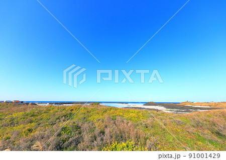 済州島 ビーチ 海水浴場 91001429