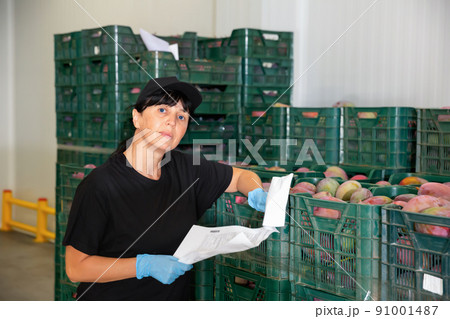 Woman with documents checking quality of mango fruits before import at factory 91001487