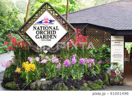 平成s024 平成s024 91001496