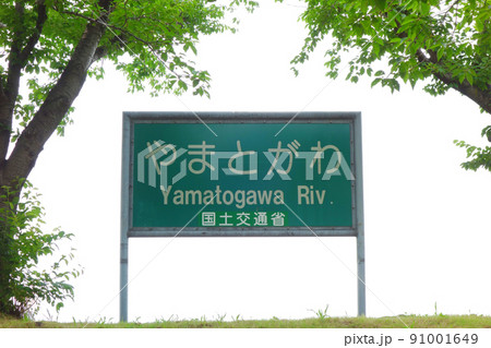 大和川 91001649