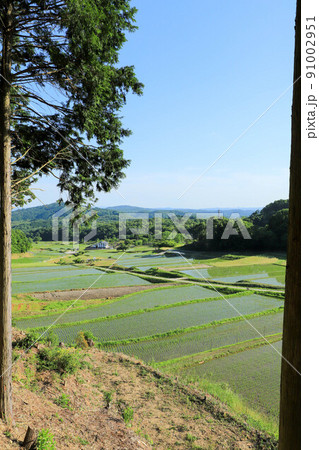 西山の棚田 西山の棚田 91002951
