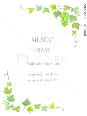 水彩で描いたマスカットと葉のフレーム　A4縦 91003265