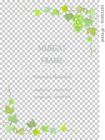 水彩で描いたマスカットと葉のフレーム　A4縦 91003265