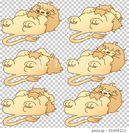 6 species of lions relaxing in the navel 6 species of lions relaxing in the navel 91004121
