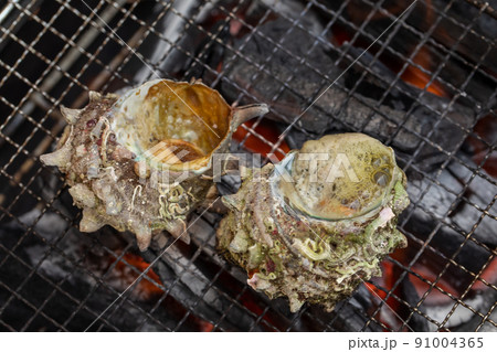 サザエの壷焼き Turban shell サザエの壷焼き Turban shell 91004365