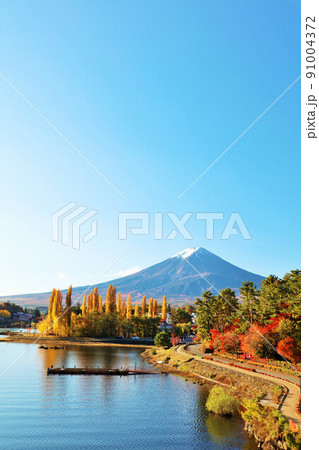 山梨県　秋の河口湖からの富士山 91004372