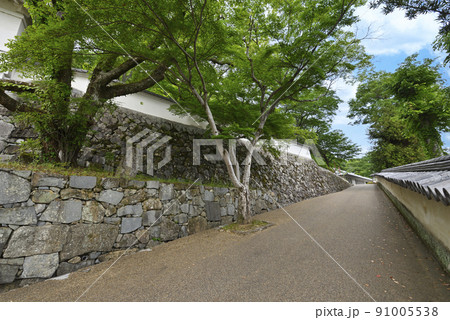 龍野城埋門横のたつの市立龍野歴史文化資料館へ続く坂道（兵庫県たつの市） 91005538