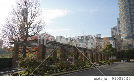 横浜、山下公園から見たホテルニューグランド 横浜、山下公園から見たホテルニューグランド 91005539