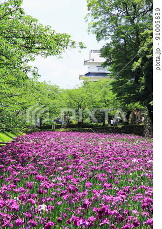 大村公園 6月 大村公園 6月 91005839