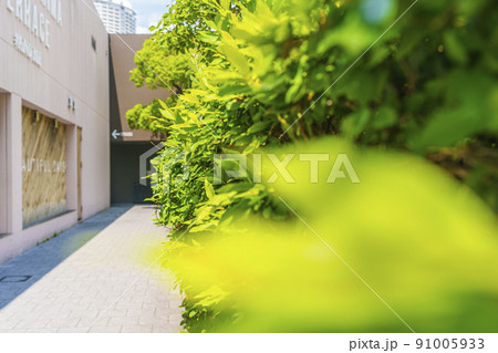 中之島BANKS 中之島バンクス 中之島BANKS 中之島バンクス 91005933