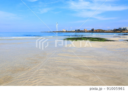 済州島 ビーチ 海水浴場 91005961