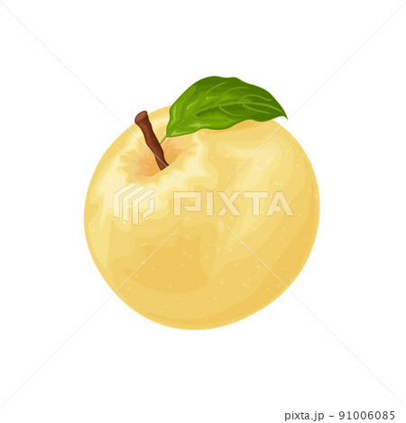 Apple. Yellow ripe apple. The apple is yellow with a green leaf. Ripe sweet fruit. Garden fruits. Vector illustration isolated on a white background Apple. Yellow ripe apple. The apple is yellow with a green leaf. Ripe sweet fruit. Garden fruits. Vector illustration isolated on a white background 91006085
