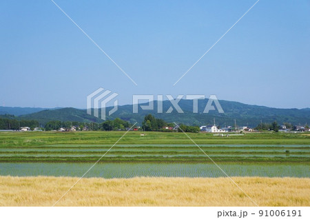 御亭山と田園風景【栃木県大田原市郊外】 91006191
