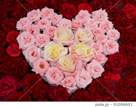 ハート型に敷き詰めた薔薇 91006601