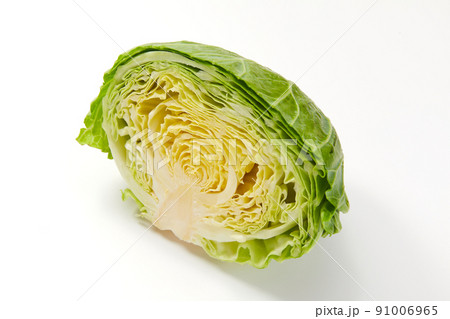 キャベツ 91006965