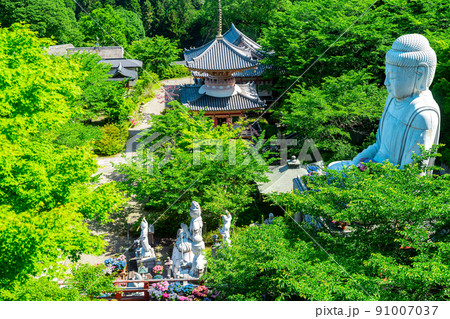 奈良県 壺阪寺の新緑大仏 奈良県 壺阪寺の新緑大仏 91007037