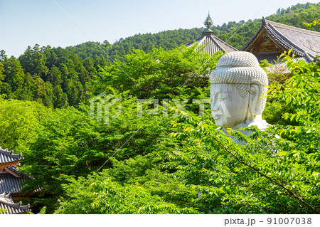 奈良県　壺阪寺の新緑大仏 91007038