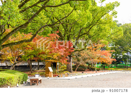 細川刑部邸庭園「庭園内の紅葉景色」観光名所：日本庭園 91007178