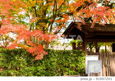 細川刑部邸庭園「庭園内の紅葉景色」観光名所:日本庭園 細川刑部邸庭園「庭園内の紅葉景色」観光名所:日本庭園 91007201