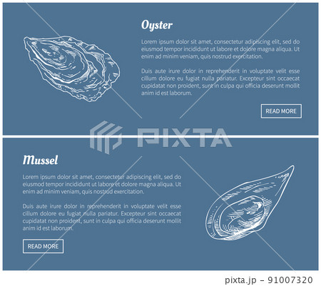 Oyster and Mussel Vector Vintage Illustration. 91007320