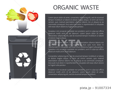 Organic Waste Throwing in Bin Vector Illustration Organic Waste Throwing in Bin Vector Illustration 91007334