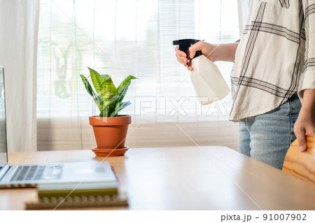 A young woman takes care of her houseplants gently by spraying them. Home gardening concept. 91007902