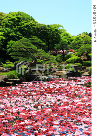 由志園　池泉牡丹 91008784