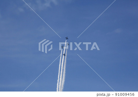 ブルーインパルス 91009456