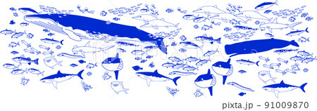 シンプルな海の動物達 91009870