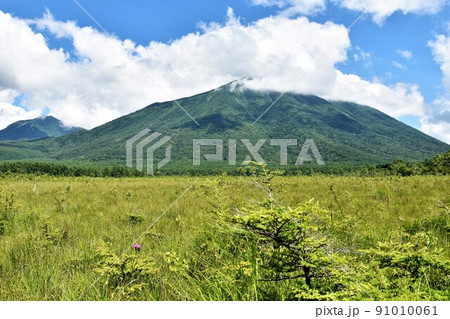 夏の奥日光 戦場ヶ原散策 夏の奥日光 戦場ヶ原散策 91010061