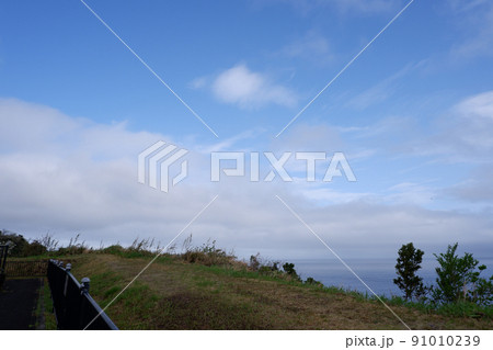 伊豆大島の空と植物 伊豆大島の空と植物 91010239