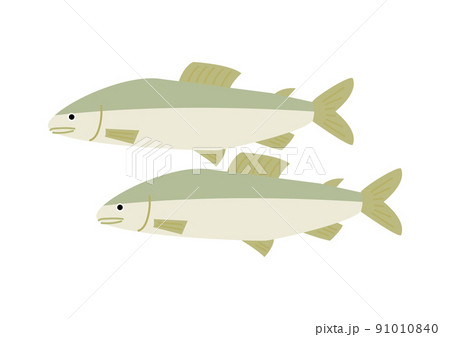 二匹の鮎 二匹の鮎 91010840
