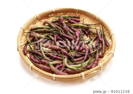 紫大根の実 紫大根の実 91011216