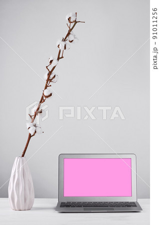 Vase of pussy willow and laptop with copy space on the screen. 91011256
