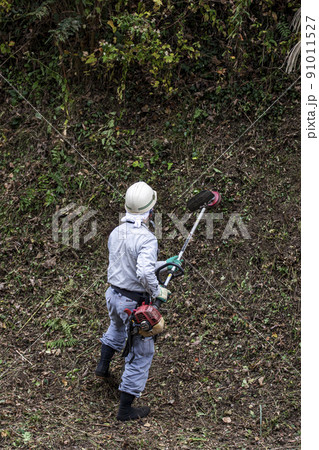 うっそうと生い茂った雑草を電動草刈機で刈り込む植木職人 91011527