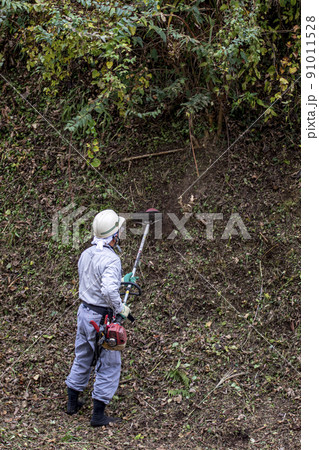 うっそうと生い茂った雑草を電動草刈機で刈り込む植木職人 うっそうと生い茂った雑草を電動草刈機で刈り込む植木職人 91011528