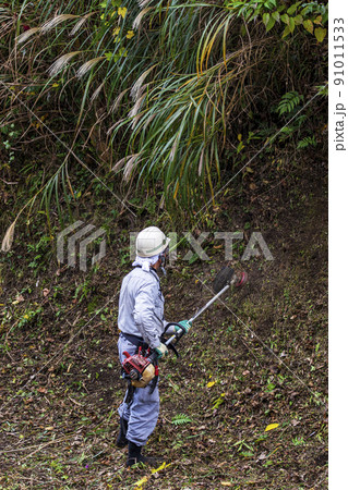 うっそうと生い茂った雑草を電動草刈機で刈り込む植木職人 うっそうと生い茂った雑草を電動草刈機で刈り込む植木職人 91011533