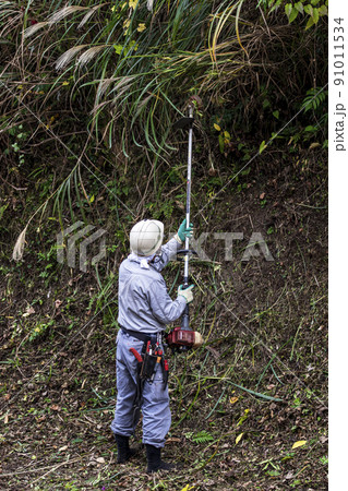うっそうと生い茂った雑草を電動草刈機で刈り込む植木職人 91011534