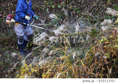 うっそうと生い茂った雑草を電動草刈機で刈り込む植木職人 うっそうと生い茂った雑草を電動草刈機で刈り込む植木職人 91011541