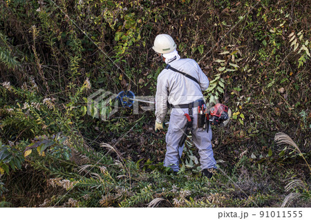 うっそうと生い茂った雑草を電動草刈機で刈り込む植木職人 うっそうと生い茂った雑草を電動草刈機で刈り込む植木職人 91011555