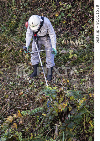 うっそうと生い茂った雑草を電動草刈機で刈り込む植木職人 91011559