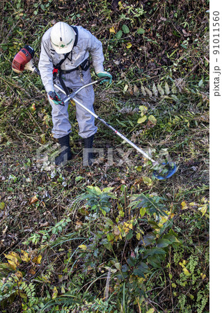 うっそうと生い茂った雑草を電動草刈機で刈り込む植木職人 うっそうと生い茂った雑草を電動草刈機で刈り込む植木職人 91011560