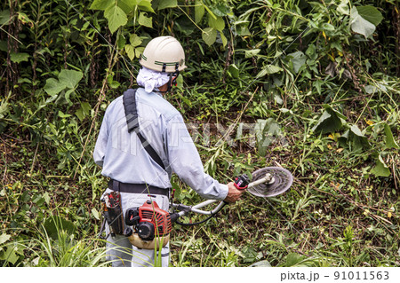 うっそうと生い茂った雑草を電動草刈機で刈り込む植木職人 91011563