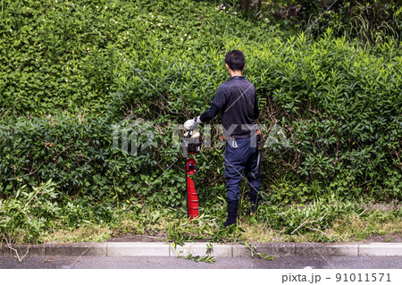 生い茂った雑草を電動草刈機で剪定する植木職人 91011571