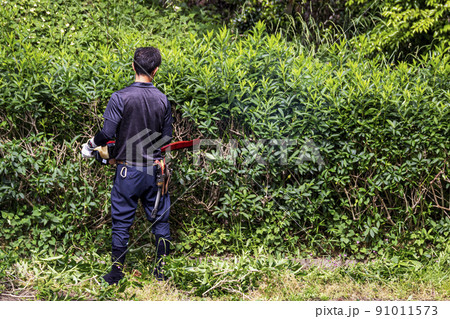 生い茂った雑草を電動草刈機で剪定する植木職人 91011573
