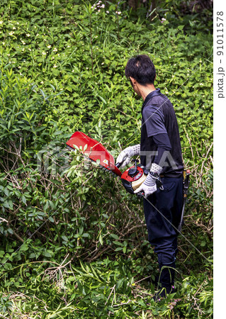 生い茂った雑草を電動草刈機で剪定する植木職人 91011578