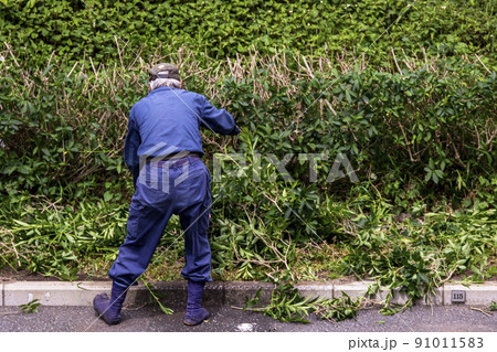 草刈りした雑草を掃き集め清掃する植木職人 草刈りした雑草を掃き集め清掃する植木職人 91011583