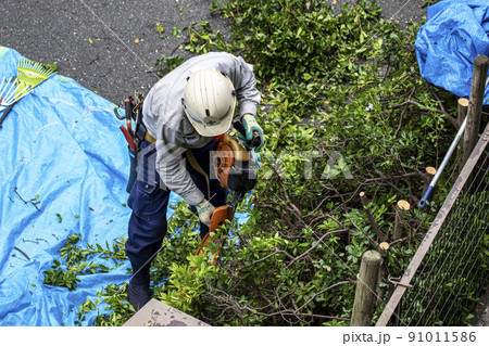 生い茂った雑草を電動草刈機で剪定する植木職人 生い茂った雑草を電動草刈機で剪定する植木職人 91011586