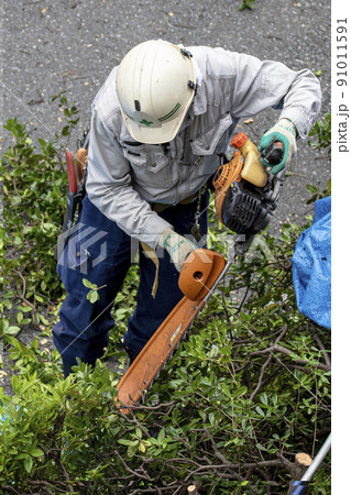 生い茂った雑草を電動草刈機で剪定する植木職人 91011591
