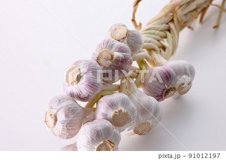 新物のにんにくの束 91012197